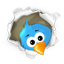 MIR-AUS Twitter