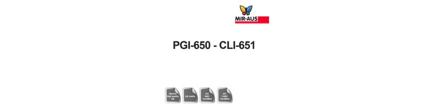 Refillable ink 100 ml cartridge code : PGI-650/670 CLI-651/671