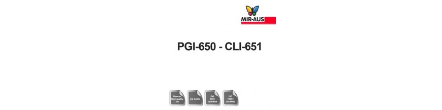 القابلة لإعادة الملء الحبر 1 لتر خرطوشة رمز: CLI PGI-650-651